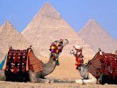 Советы Туристам в Египте